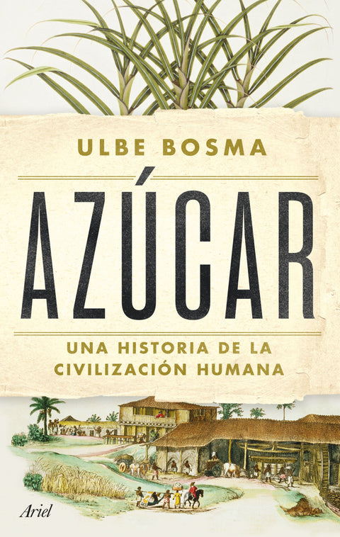 Azúcar - Ulbe Bosma