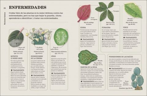 Como NO matar tus plantas (Nueva Edicion) - DK
