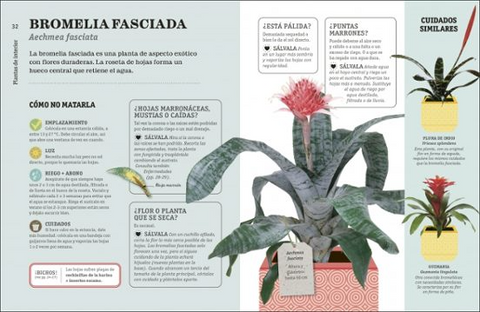 Como NO matar tus plantas (Nueva Edicion) - DK