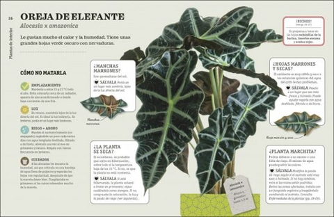 Como NO matar tus plantas (Nueva Edicion) - DK