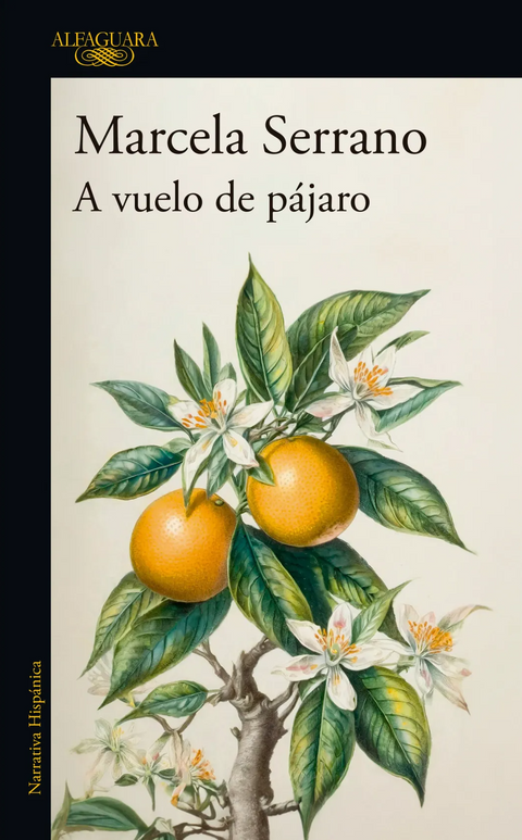 A vuelo de pajaro - Marcela Serrano