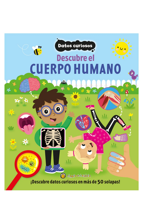 Datos curiosos descubre el cuerpo humano