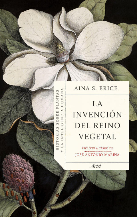 La invención del reino vegetal - Aina S. Erice
