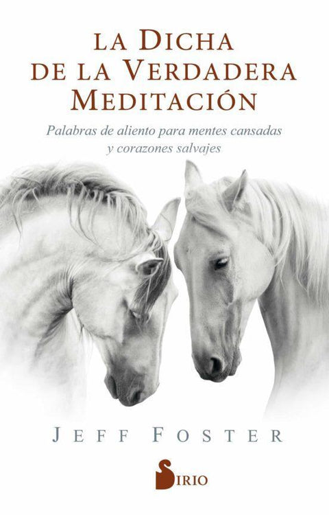 La Dicha de la Verdadera Meditacion - Jeff Foster
