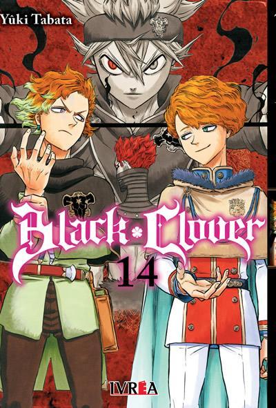 Black Clover 14 - Yuki Tabata