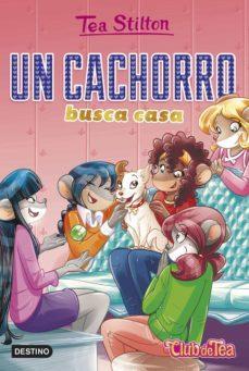 Un Cachorro Busca Casa - Tea Stilton