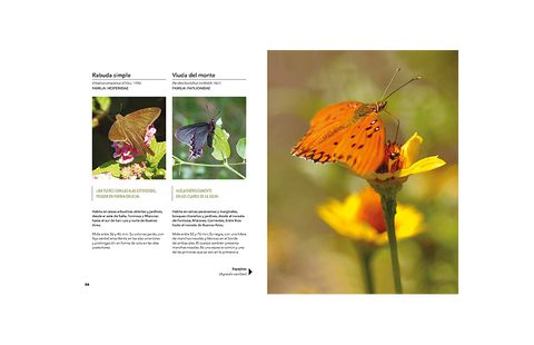 Plantas, aves y mariposas