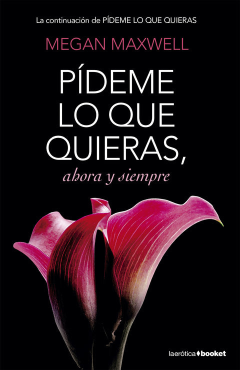 Pideme lo que quieras ahora y siempre (2) - Megan Maxwell