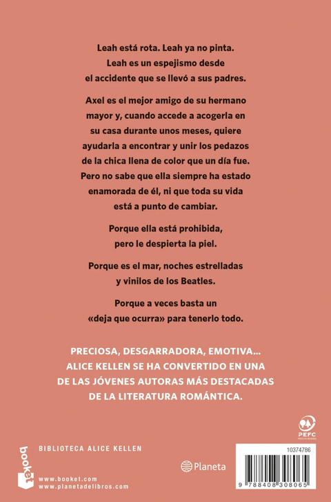 Todo lo que nunca fuimos - Alice Kellen