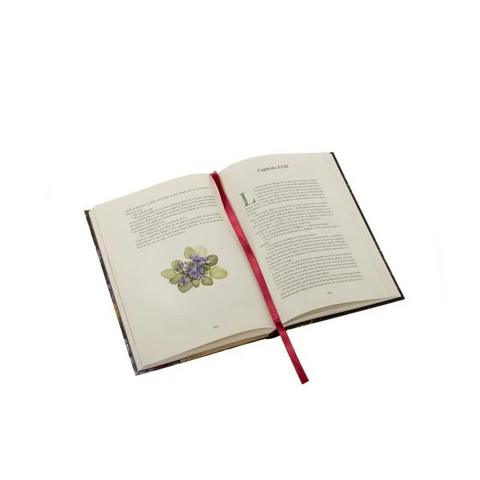 Orgullo y prejuicio. Edición especial Jardín Secreto - Jane Austen; Ilustraciones Marjolin Bastin
