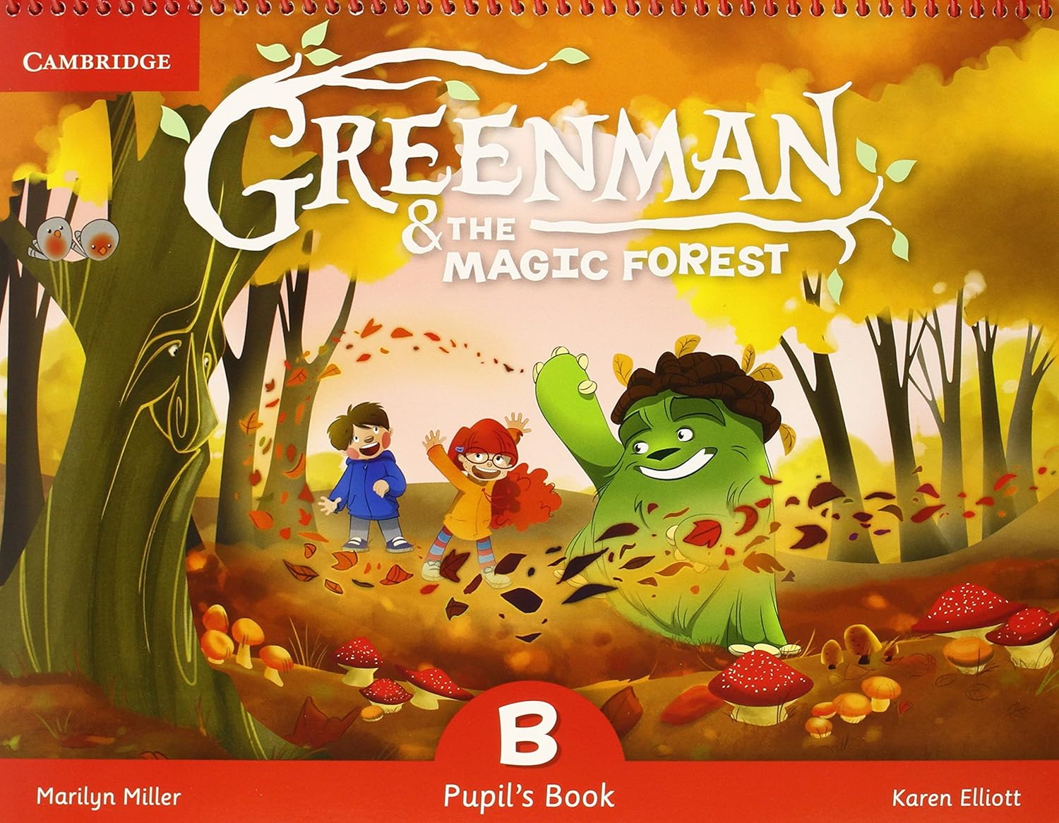 Greenman and the Magic Forest B Pupils Book 1a Edicion - Cambridge