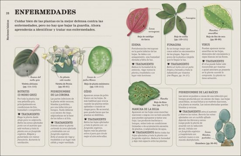 Como NO matar tus plantas (Nueva Edicion) -  DK