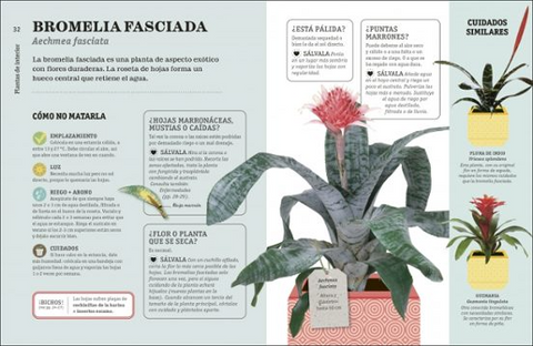 Como NO matar tus plantas (Nueva Edicion) -  DK