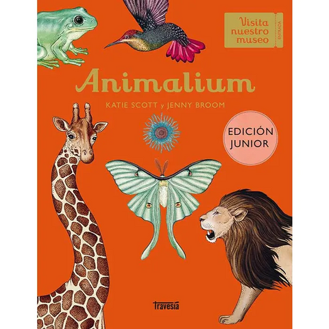 Animalium. Edición junior