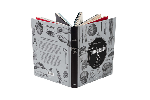 Frankenstein (Jardín Secreto) - Mary Shelley