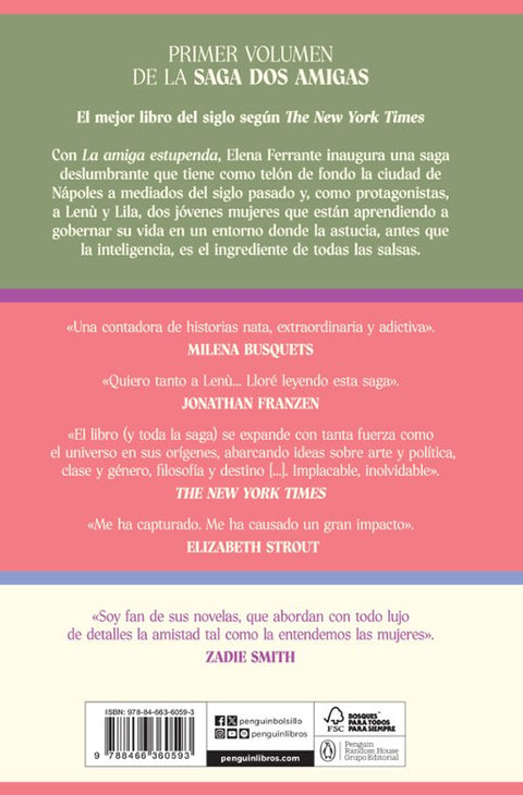 La amiga estupenda (edicion especial cantos tintados) (Dos amigas 1) - Elena Ferrante