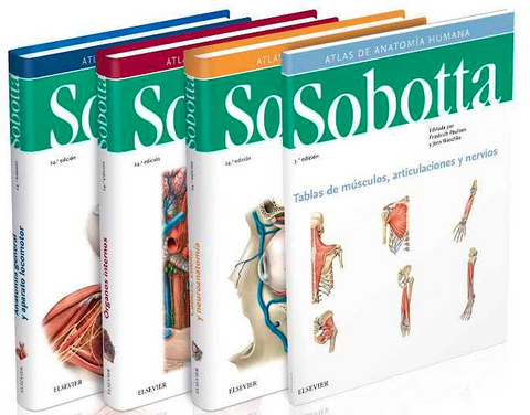 Atlas de Anatomía Humana 24ed 3 Vol + Tablas de Músculos, Articulaciones y Nervios - Sobotta