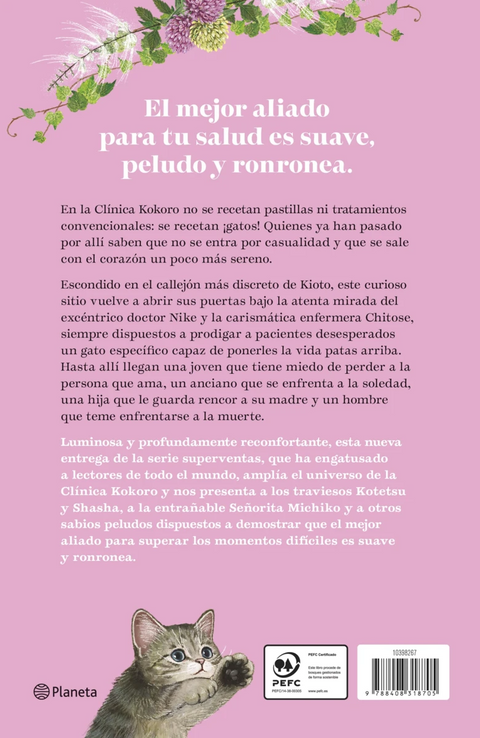 Te receto otro gato - Syou Ishida