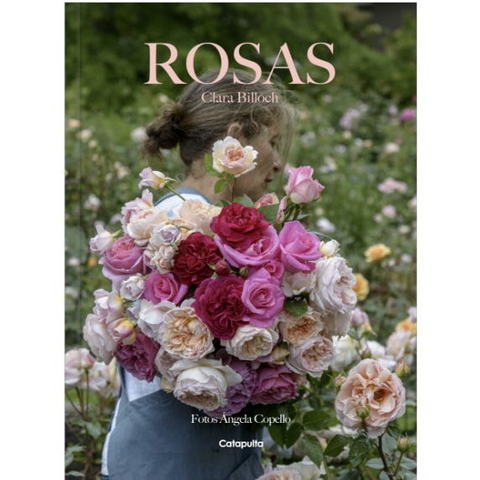 Rosas- Clara Billoch