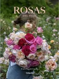 Rosas- Clara Billoch