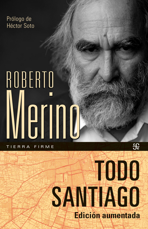 Todo Santiago - Roberto Merino