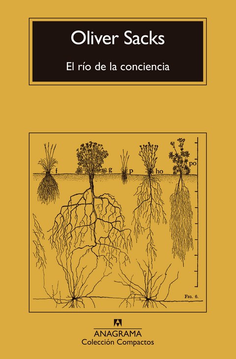 El río de la conciencia - Oliver Sacks