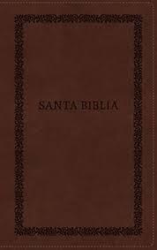 Biblia Reina-Valera 1960