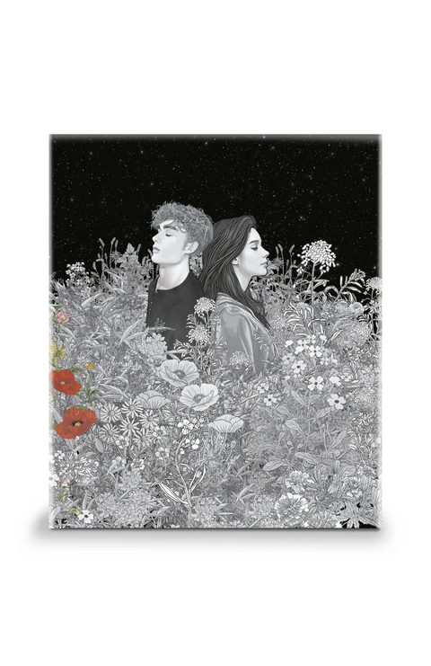 Estuche Saga Crepúsculo 20 aniversario (contiene: Crepúsculo, Luna nueva, Eclipse y Amanecer) - Stephenie Meyer