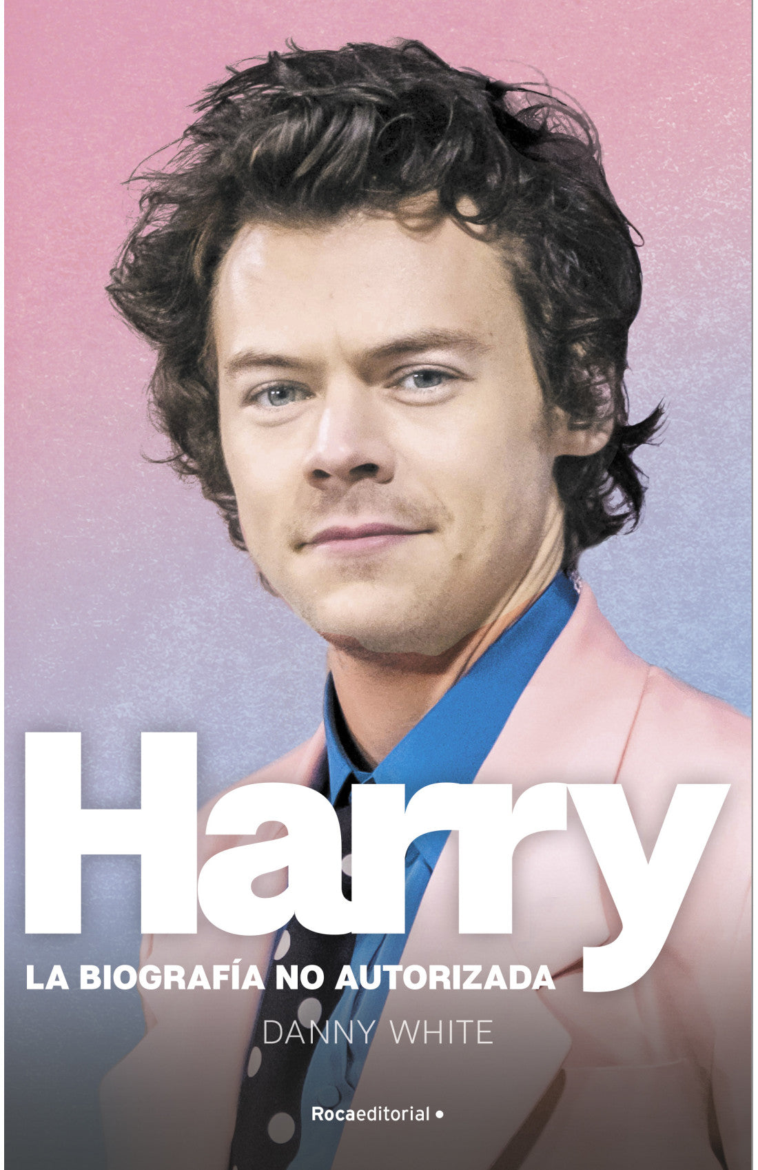 Harry Styles. La Biografia No Autorizada (PREVENTA) - Danny White