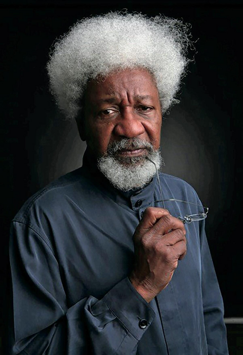 Ake Los Años de la Niñez - Wole Soyinka