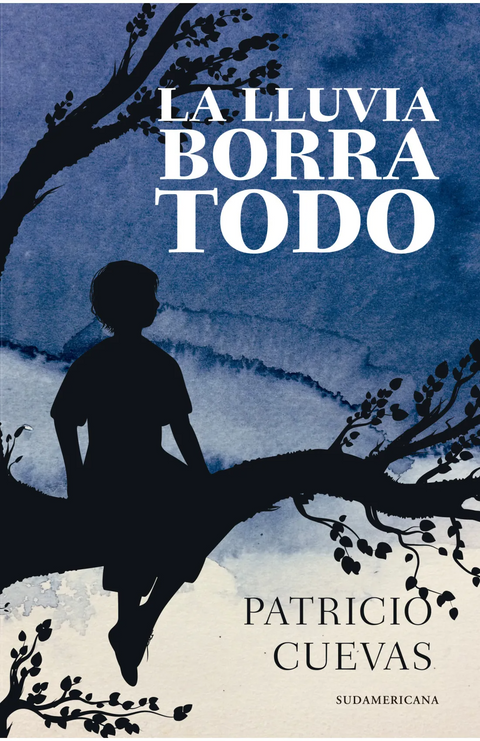 La lluvia borró todo - Patricio Cuevas