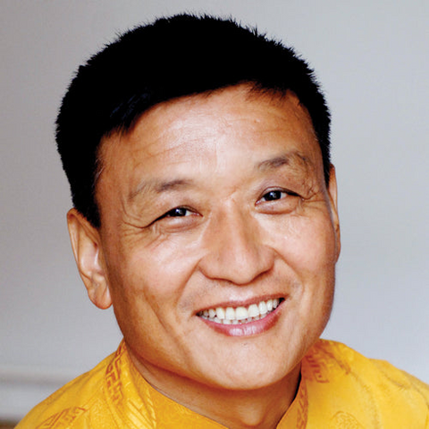 La Verdadera Fuente De La Sanacion - Tenzin Wangyal Rinpoche