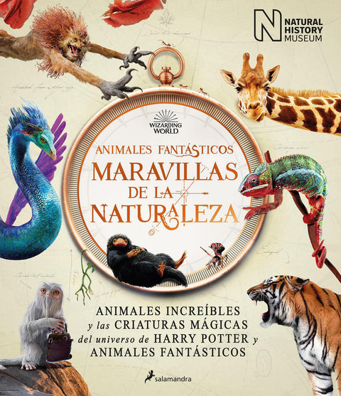 Harry Potter Animales Fantasticos (TD)  - Maravillas de la Naturaleza