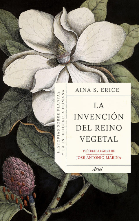 La invención del reino vegetal. Historias sobre plantas y la inteligencia humana - Aina S. Erice
