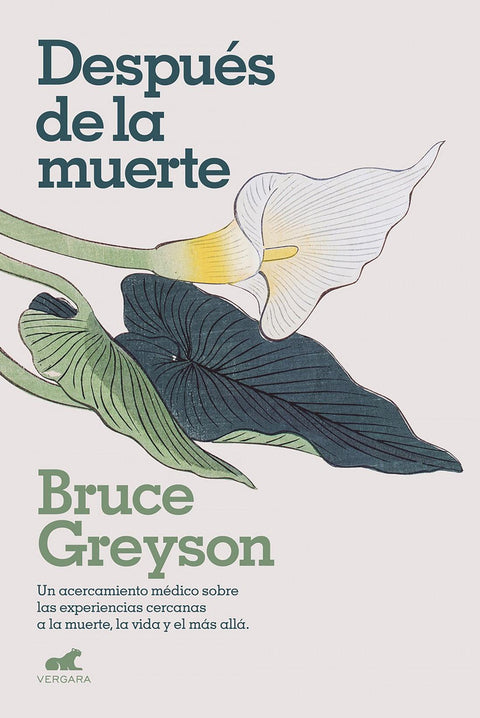 Despues de la Muerte - Bruce Greyson