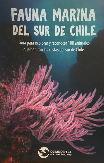 Fauna Marina del Sur de Chile - Fundación Oceanósfera