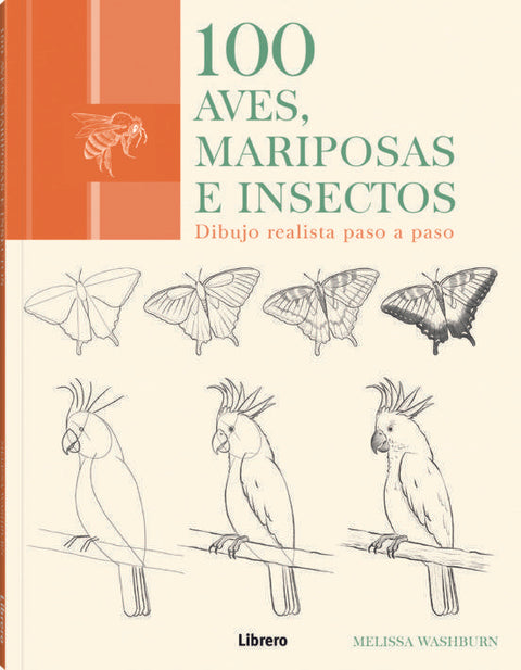 Dibujo Realista 100 Aves Mariposas e Insectos - Melissa Washburn