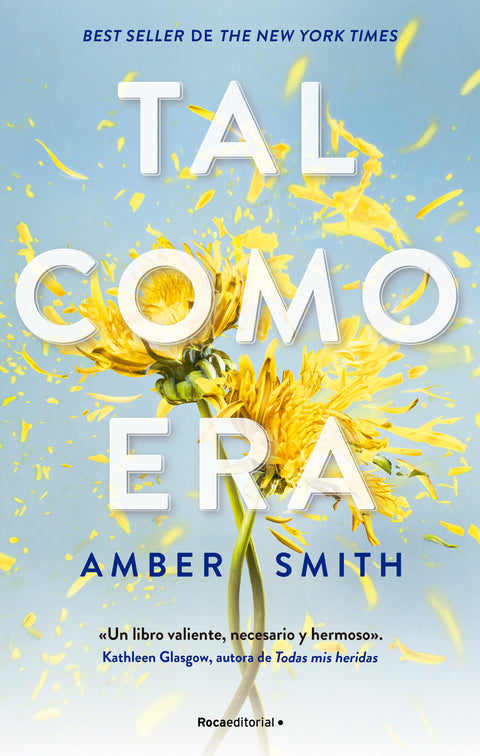 Tal como era - Amber Smith