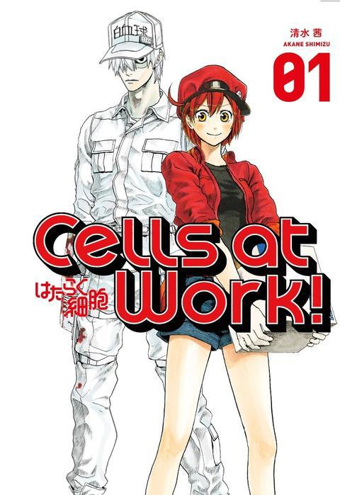 Cells at Work 1 - Akane Shimizu