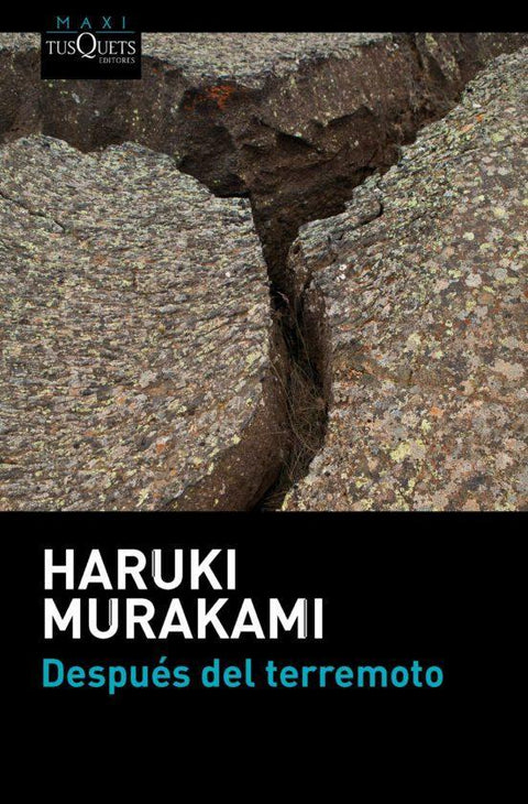 Despues del terremoto - Haruki Murakami