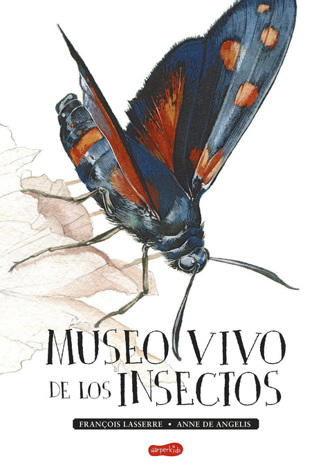 Museo Vivo de los Insectos - Francois Lasserre