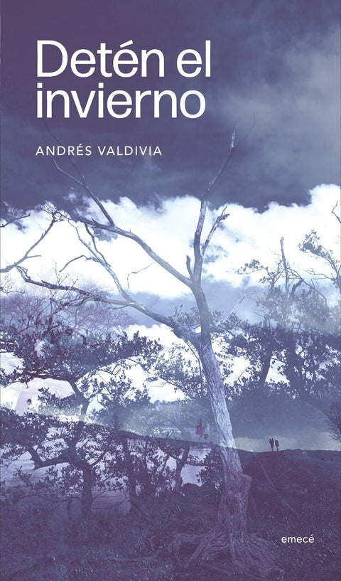 Deten el Invierno - Andres Valdivia